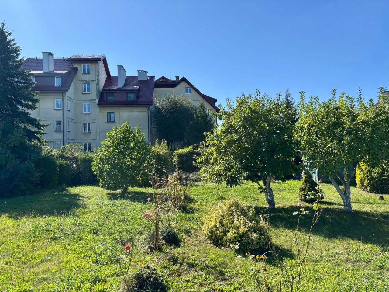 Działka rod Ostrów Wielkopolski. Zdjęcie 6