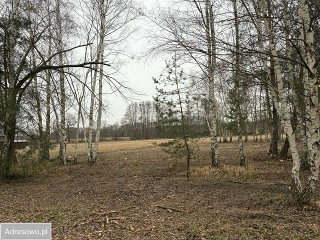 Działka budowlana Chwałowice, ul. Kasztanowa. Zdjęcie 1