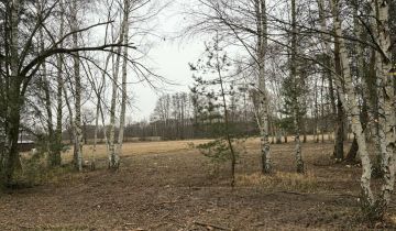 Działka budowlana Chwałowice, ul. Kasztanowa