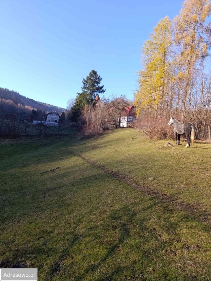 dom wolnostojący, 6 pokoi Rościszów. Zdjęcie 9