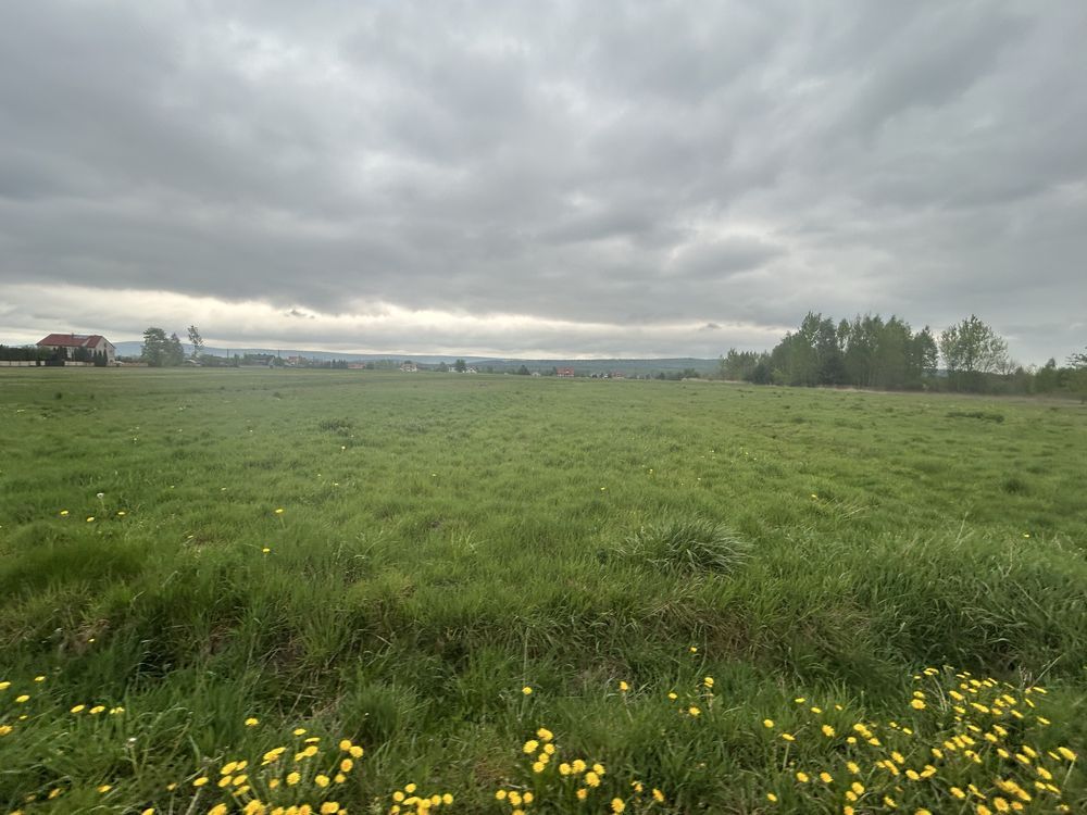 Działka budowlana Makoszyn. Zdjęcie 5