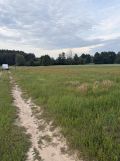 Działka budowlana Gąsocin, ul. Graniczna. Zdjęcie 1