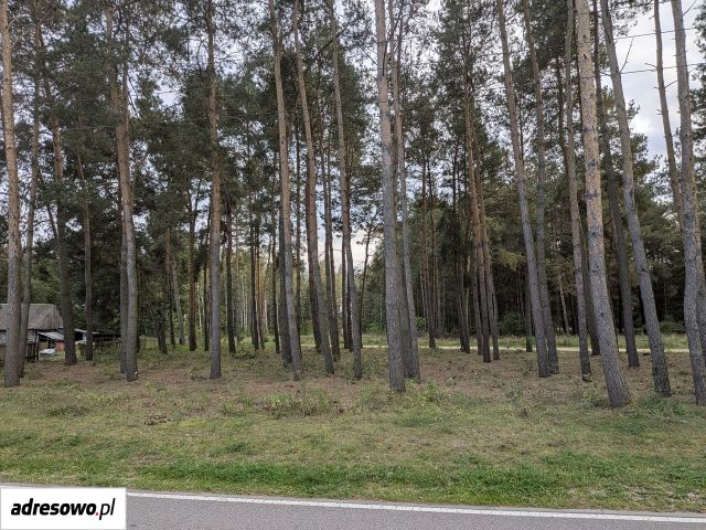 Działka rekreacyjna Starowola, ul. Graniczna. Zdjęcie 1