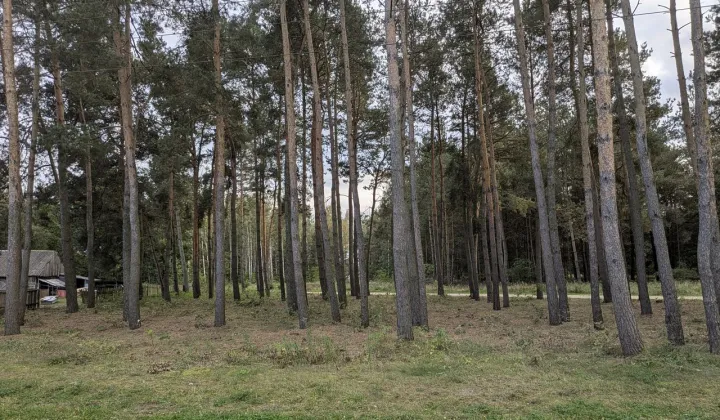 Działka rekreacyjna Starowola, ul. Graniczna