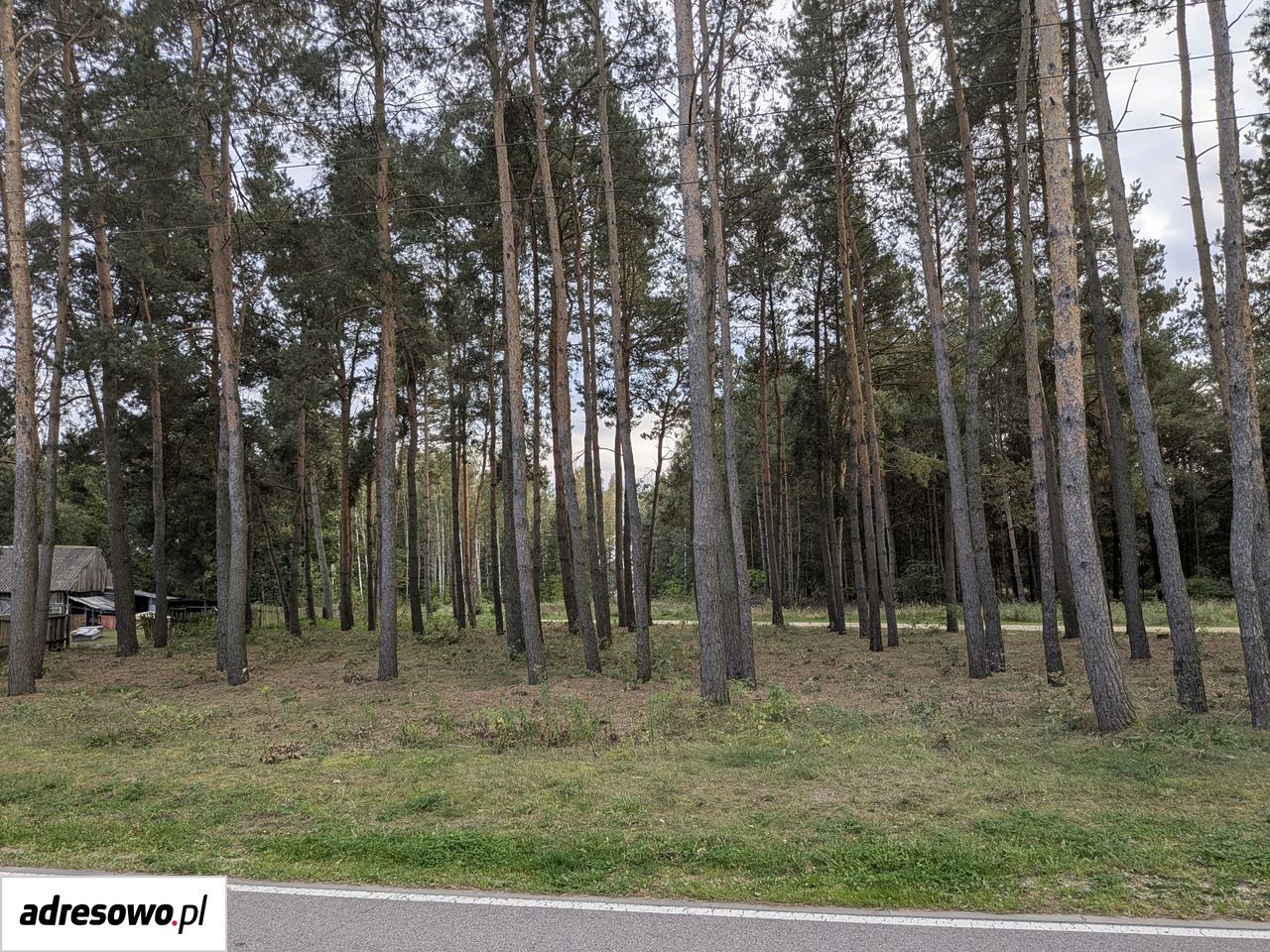 Działka rekreacyjna Starowola, ul. Graniczna. Zdjęcie 1