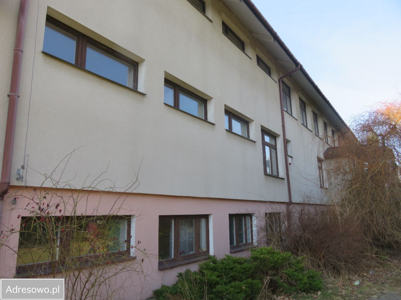 Lokal Paprotnia. Zdjęcie 6