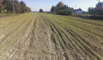 Działka na sprzedaż bez pośredników 
 
 Łaziska - Widok 5