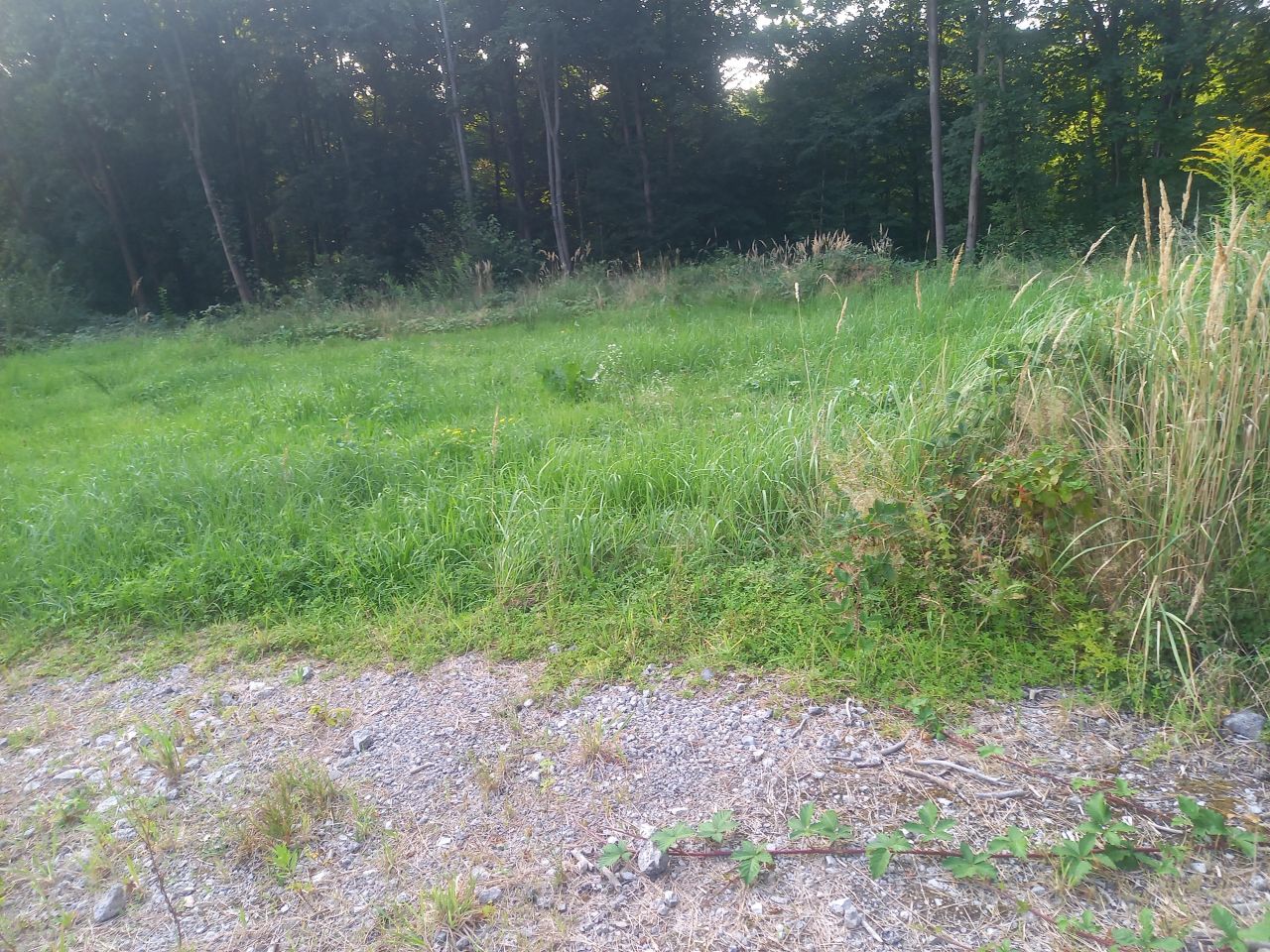 Działka budowlana Olszowice Poręby, ul. Świętego Floriana. Zdjęcie 4