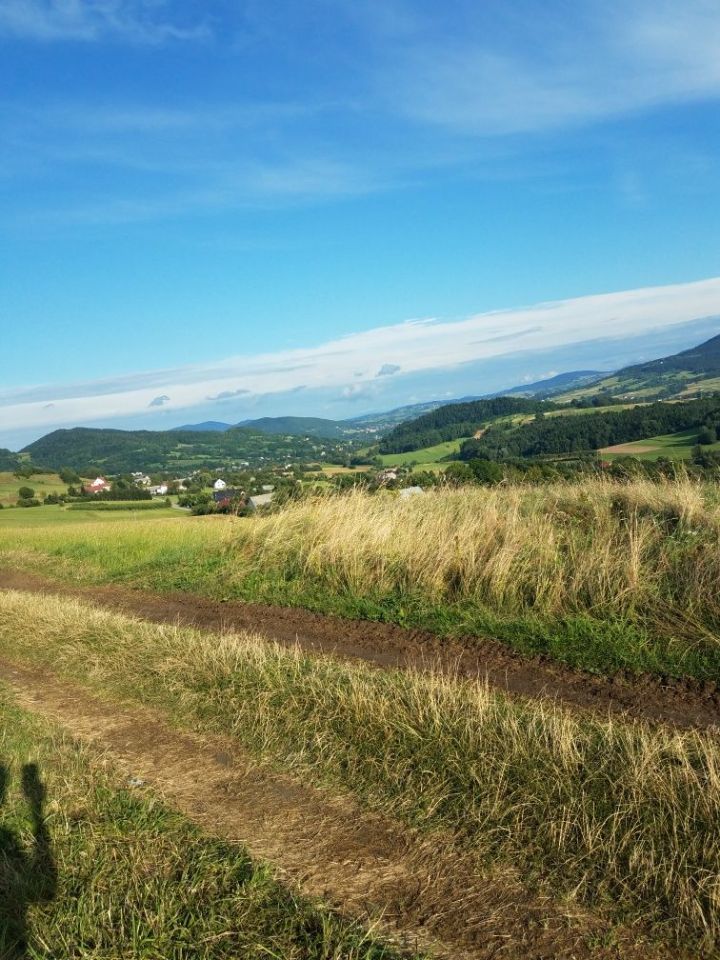 Działka Wilkowisko. Zdjęcie 5