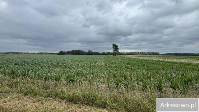Działka rolna Zambrów. Zdjęcie 1