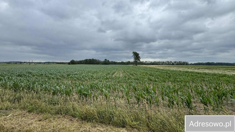 Działka rolna Zambrów