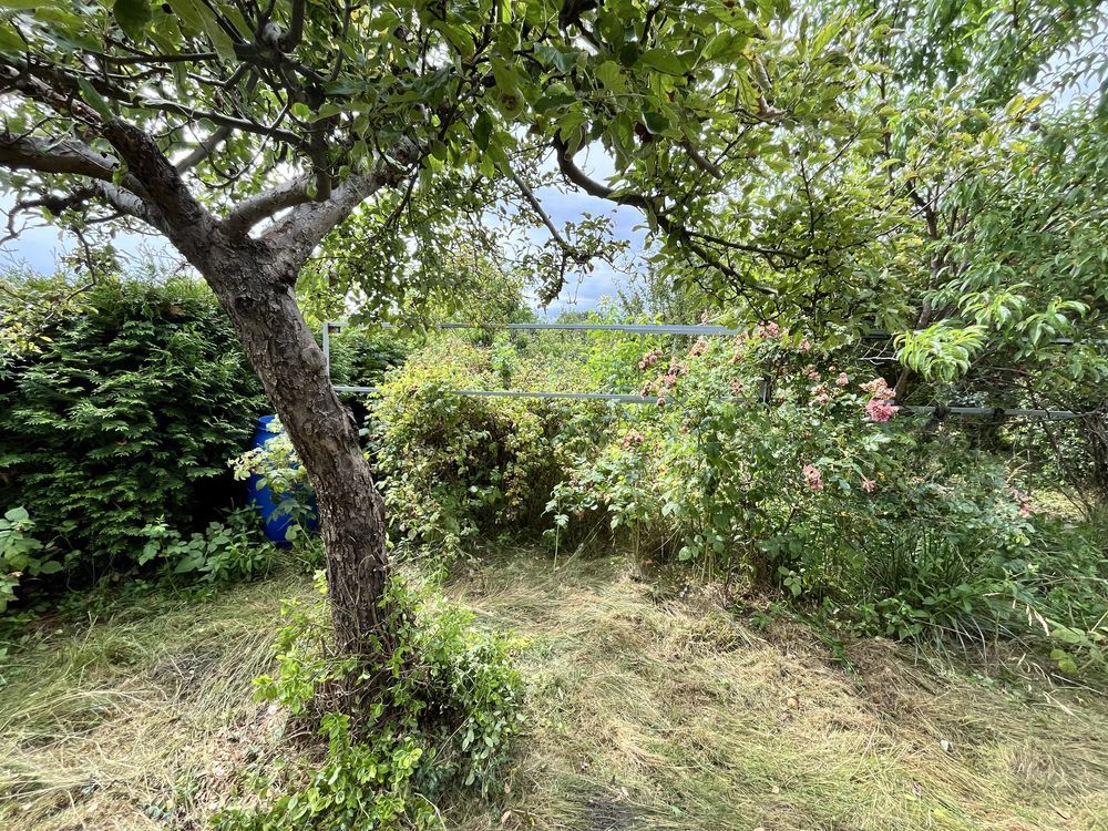 Działka rod Ostrzeszów. Zdjęcie 6