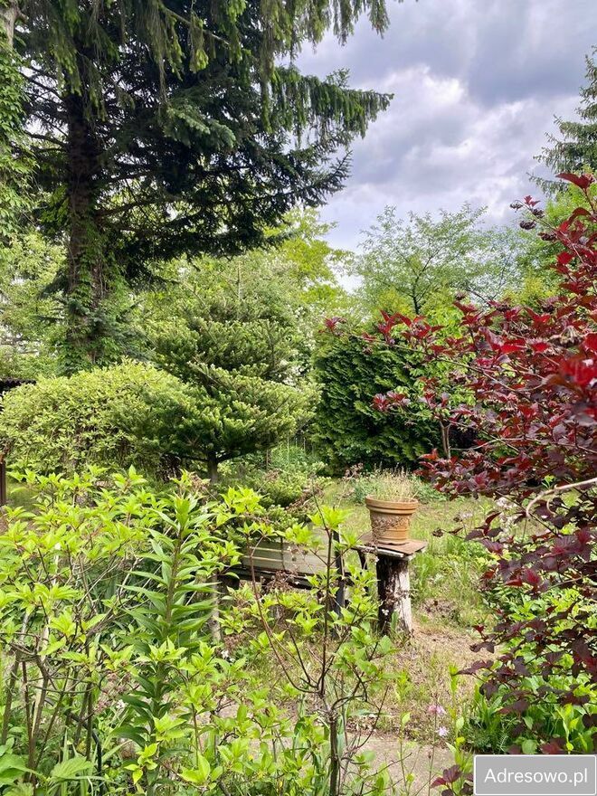 Działka rod Warszawa Zacisze, ul. Lewinowska. Zdjęcie 3