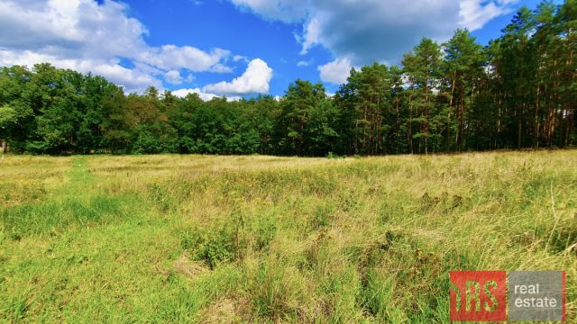 Działka inwestycyjna Nietków, ul. Źródlana. Zdjęcie 3