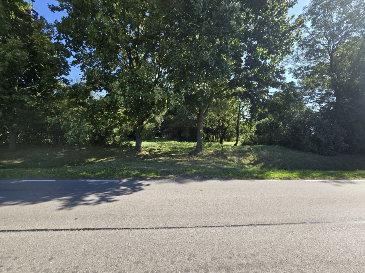 Działka rolno-budowlana Stary Zamość. Zdjęcie 5