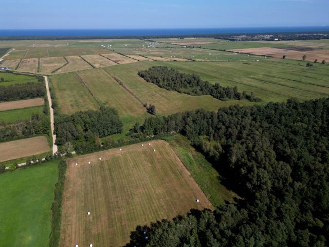 Działka siedliskowa Karwieńskie Błoto Drugie. Zdjęcie 1