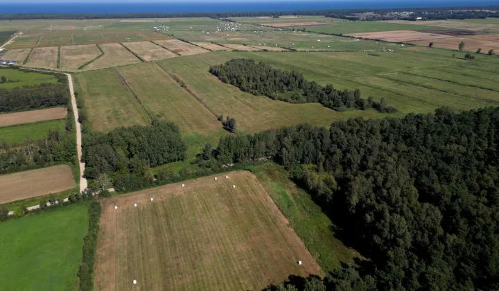 Działka siedliskowa Karwieńskie Błoto Drugie