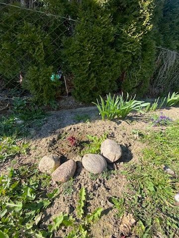 Działka rod Świecie. Zdjęcie 7