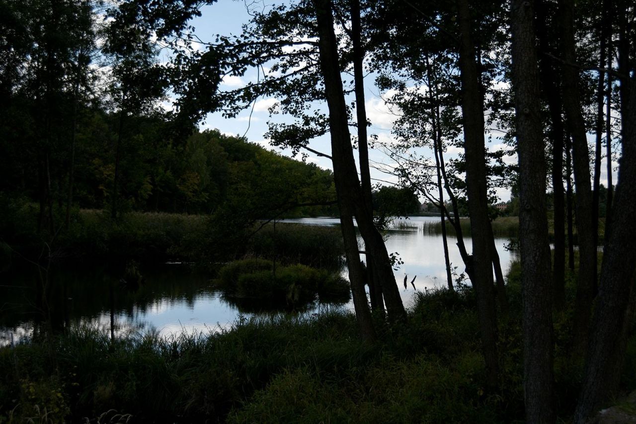 Działka budowlana Turna Duża. Zdjęcie 49