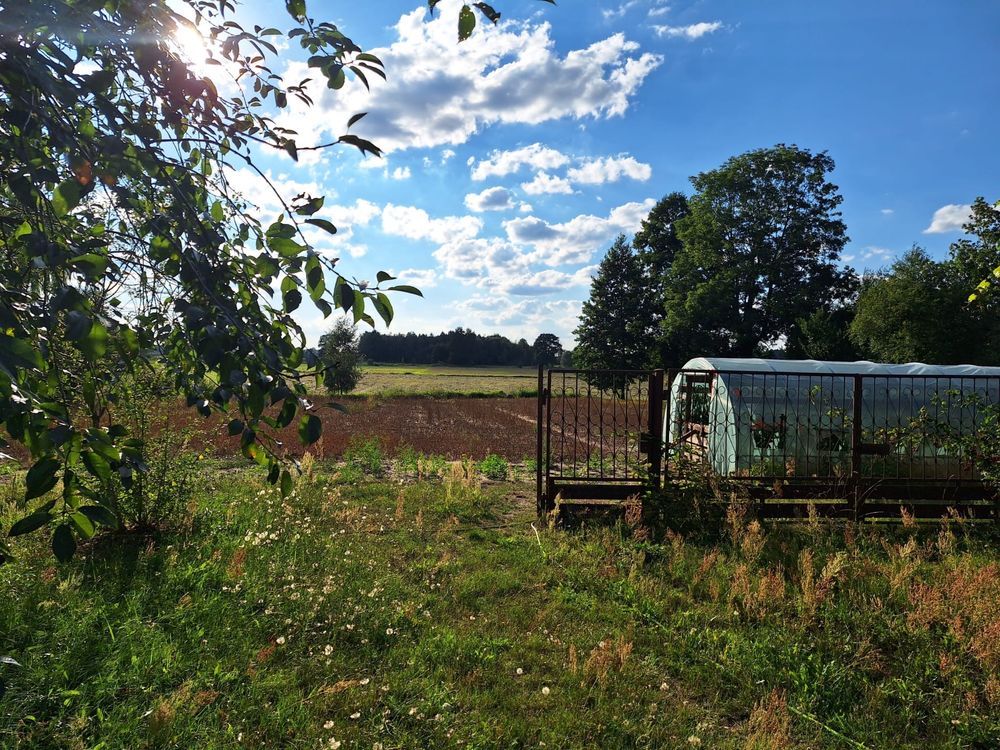 gospodarstwo Łochyńsko. Zdjęcie 6