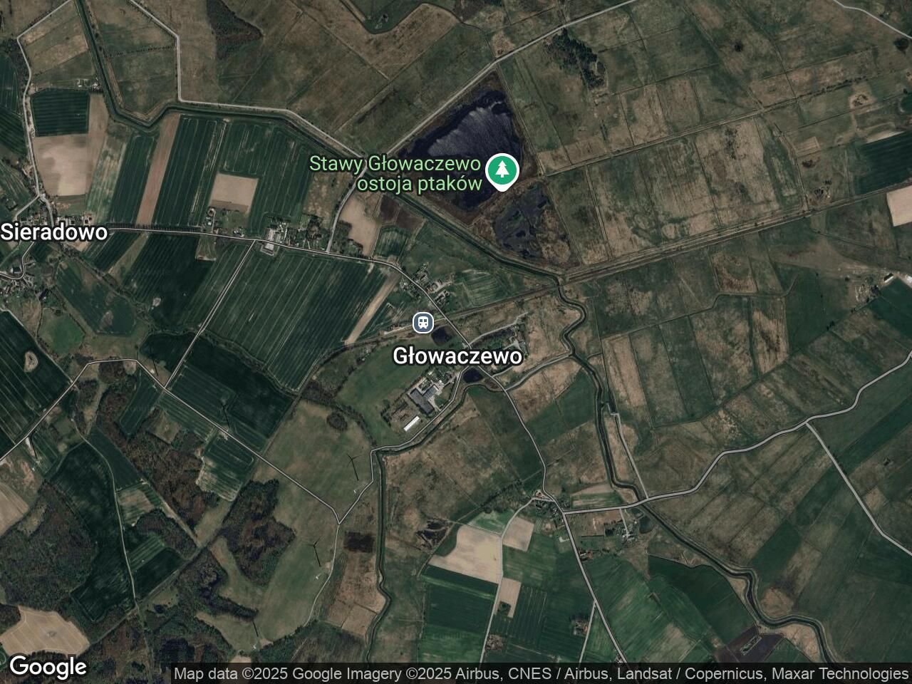 Działka rolna Głowaczewo. Zdjęcie 4