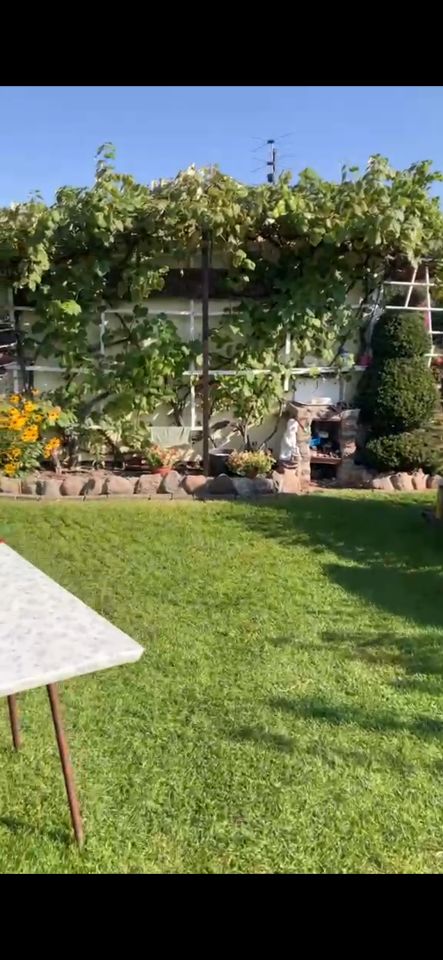 Działka rod Złotów, ul. Jastrowska. Zdjęcie 21