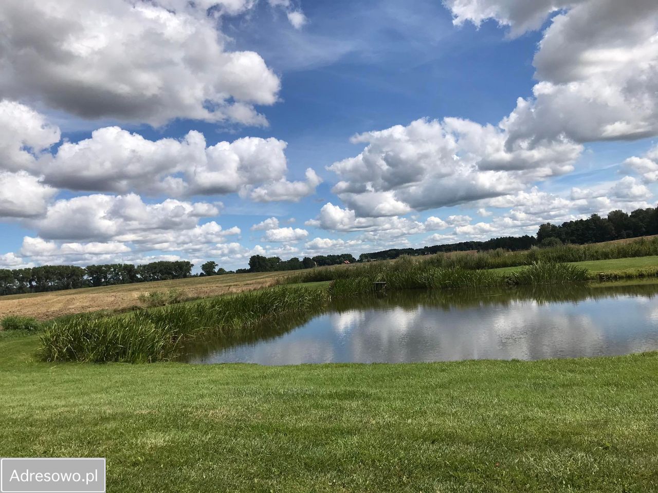 Działka rekreacyjna Ruta Gradowo. Zdjęcie 16