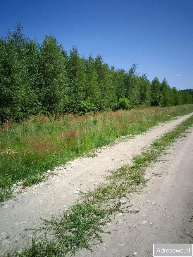 Działka budowlana Brańszczyk. Zdjęcie 7