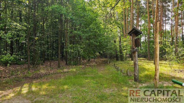 Działka budowlana Laski. Zdjęcie 8