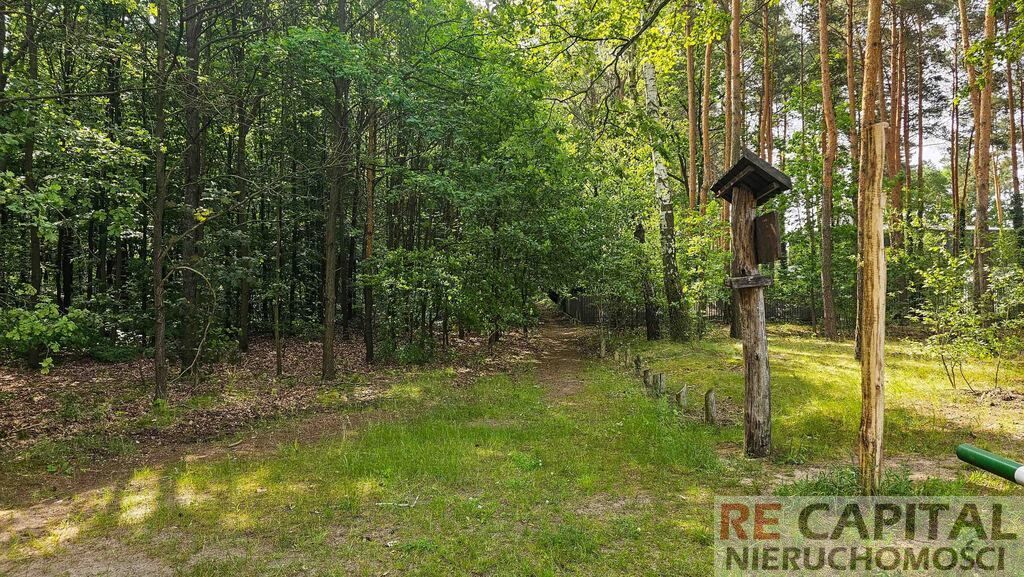 Działka budowlana Laski. Zdjęcie 8