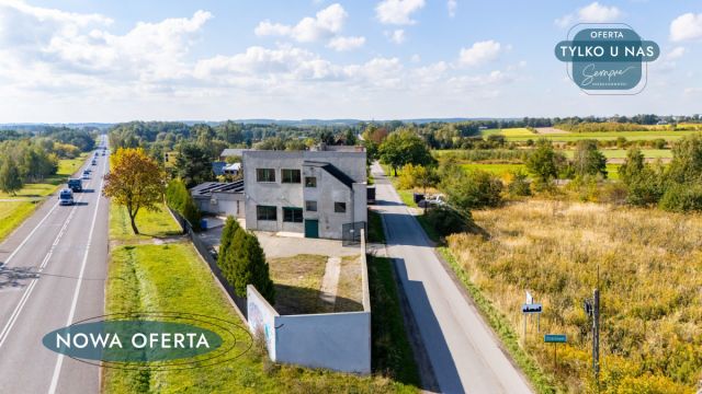 Lokal Orzechówek. Zdjęcie 7