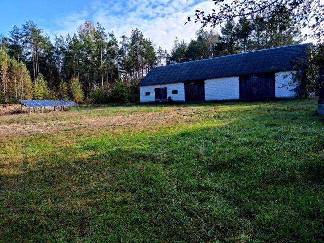 Działka siedliskowa Krusza. Zdjęcie 1