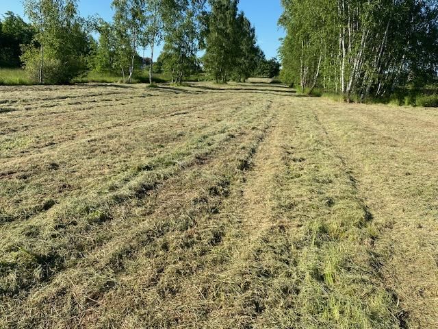 Działka inwestycyjna Rączna. Zdjęcie 1