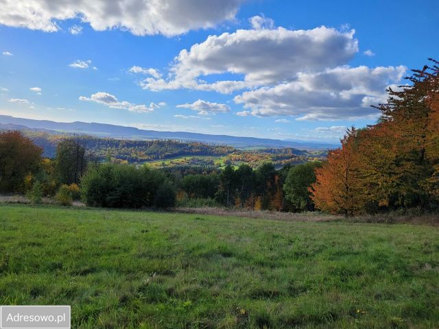 Działka budowlana Bieganów. Zdjęcie 1