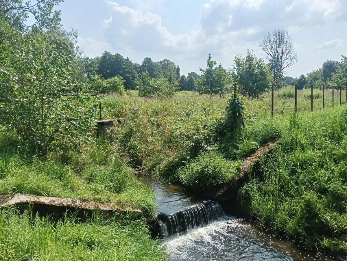dom wolnostojący, 3 pokoje Prawda. Zdjęcie 14
