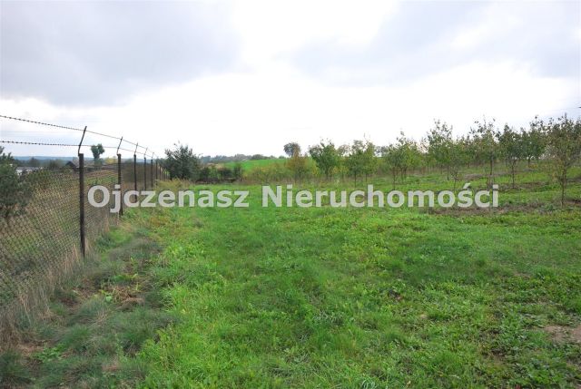 Działka budowlana Tryszczyn. Zdjęcie 3