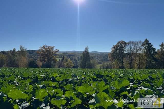 Działka budowlana Tuchów, ul. Ryglicka. Zdjęcie 12
