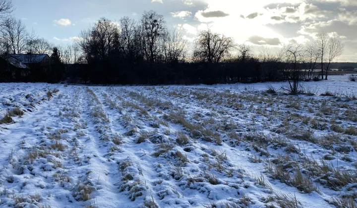 Działka budowlana Pukarzów, Pukarzów