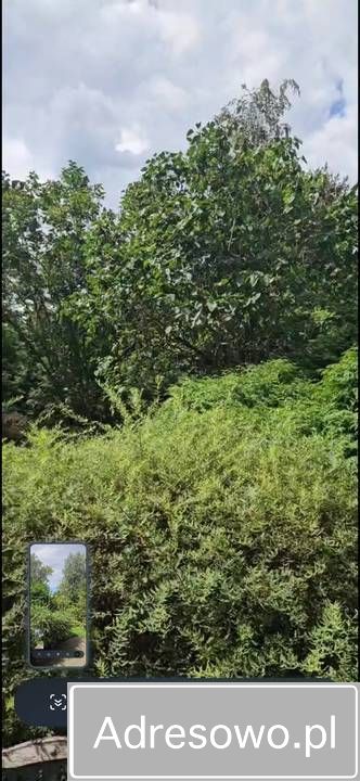 Działka rod Warszawa, ul. Augustówka. Zdjęcie 9