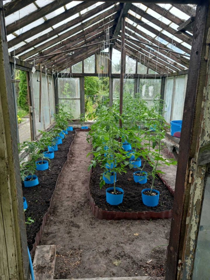 Działka rod Zgierz. Zdjęcie 2