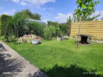 Działka rod Gniezno. Zdjęcie 4