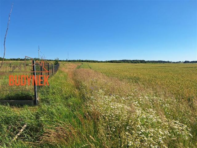 Działka budowlana Barzowice. Zdjęcie 8