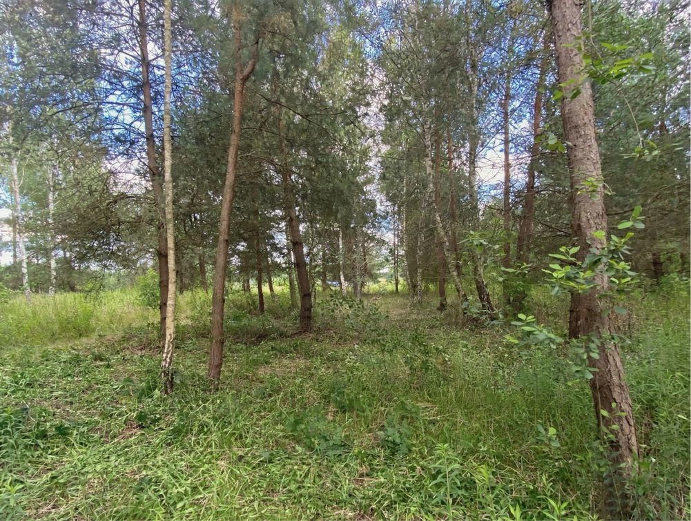 Działka budowlana Uwieliny, ul. Spokojna. Zdjęcie 7