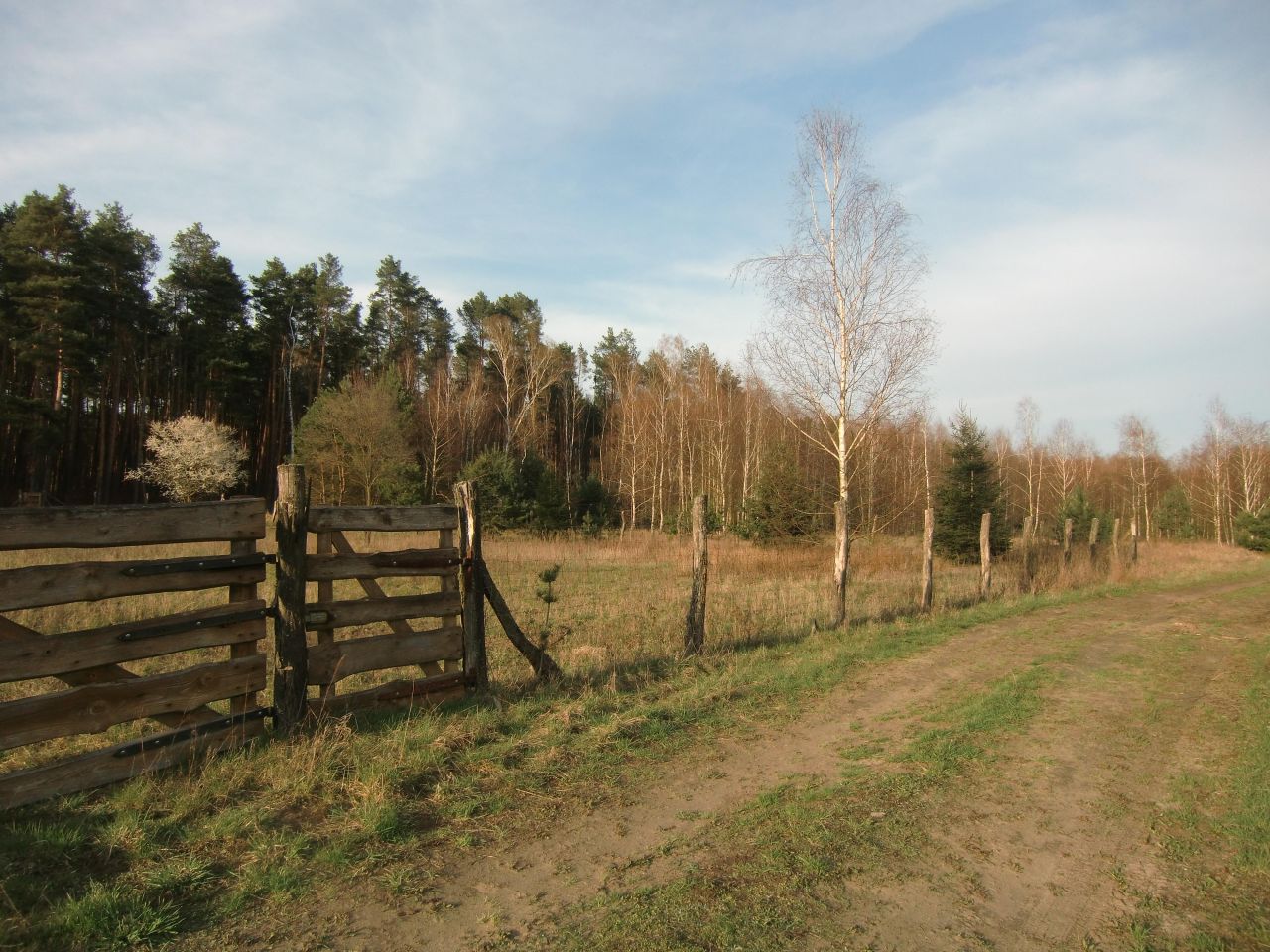 Działka budowlana Chorzępowo. Zdjęcie 1