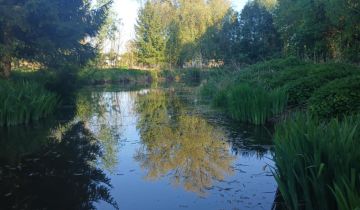 Działka budowlana Bystrzejowice Pierwsze