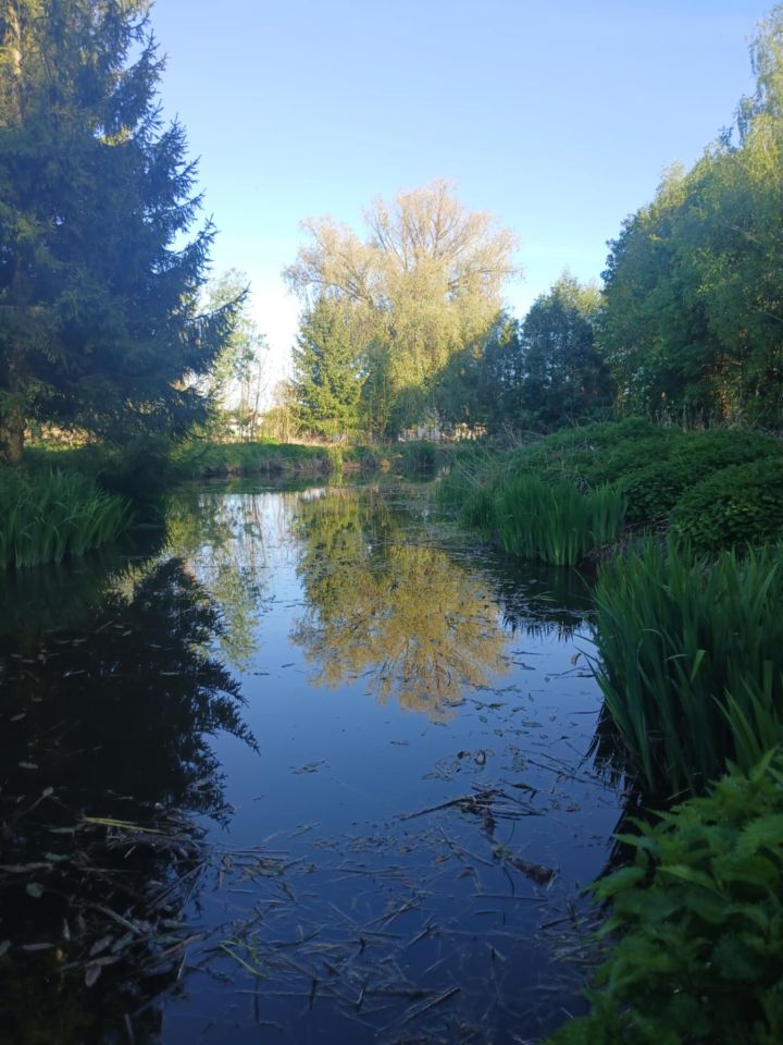 Działka budowlana Bystrzejowice Pierwsze
