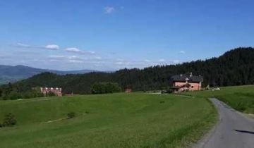 Działka siedliskowa Piwniczna-Zdrój Sucha Dolina