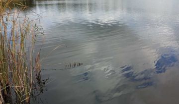 Działka inwestycyjna Długie