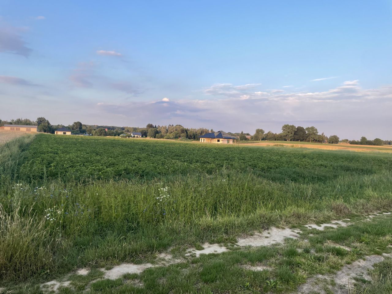 Działka budowlana Radawiec Duży. Zdjęcie 2