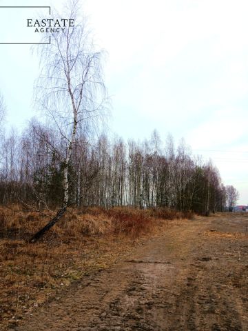 Działka budowlana Koryta. Zdjęcie 1